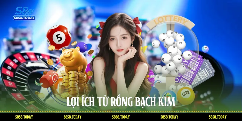 Lợi ích từ Rồng bạch kim